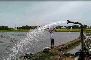 Ariyur(9)
