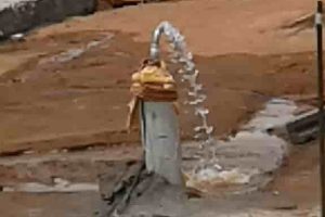 Coimbatore(7)