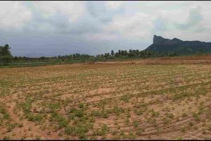 Gudiyatham(4)