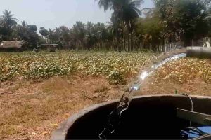 Malipattinam(4)