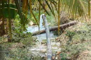 Thindivanam(2)