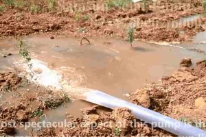 Thirukarukavur(2)