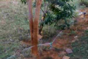 Velichangudi(3)